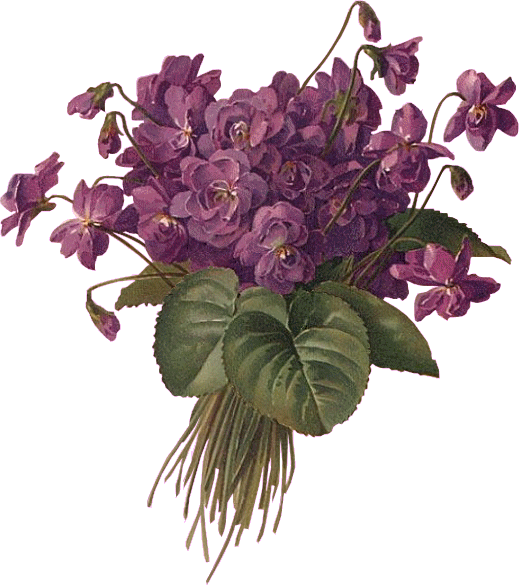 fleurs et nature (92).gif